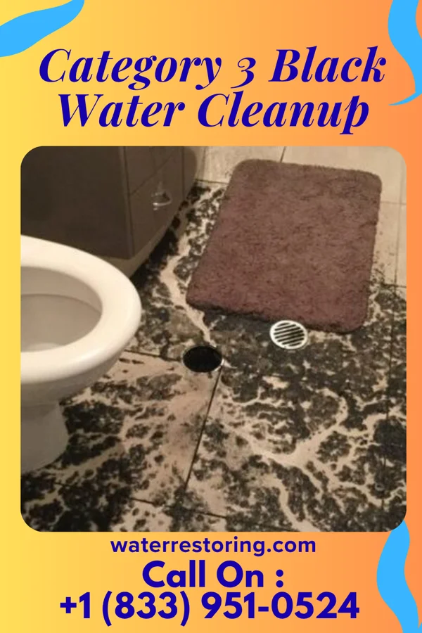 Category 3 Black Water Cleanup in Parkdale, MO