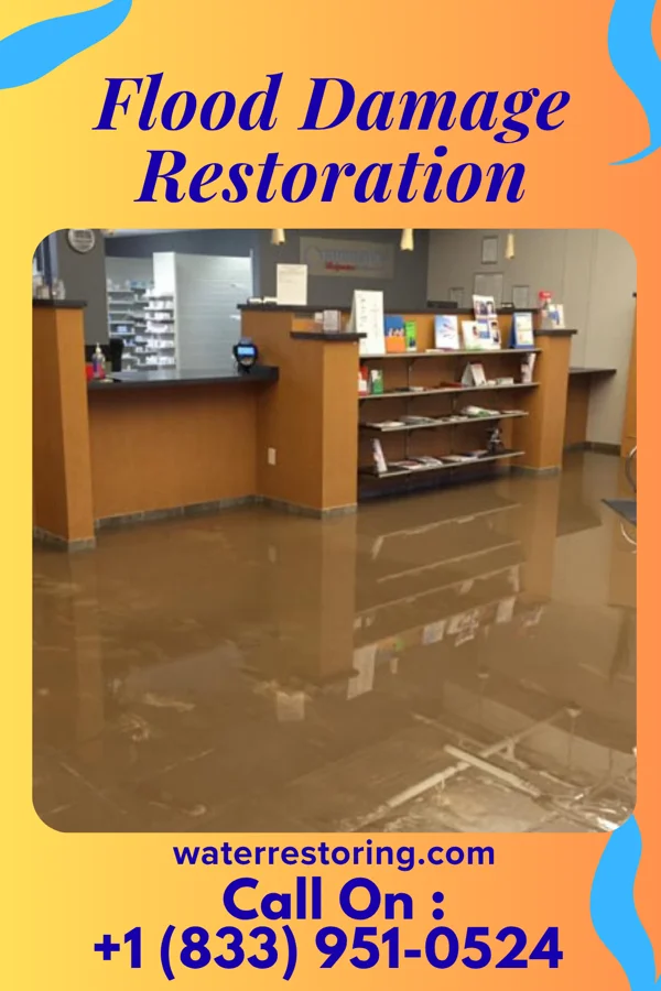 Flood Damage Restoration in Parkdale, MO