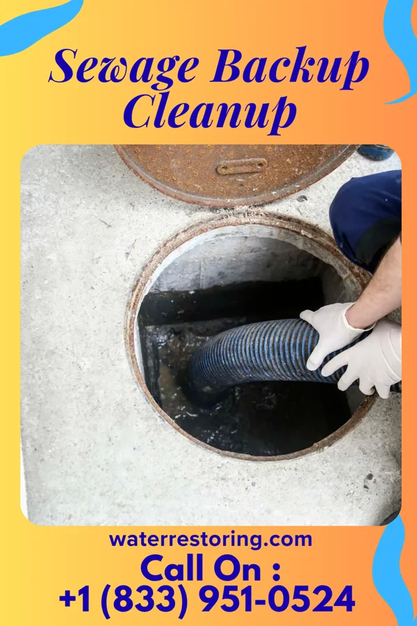 Sewage Backup Cleanup in Parkdale, MO