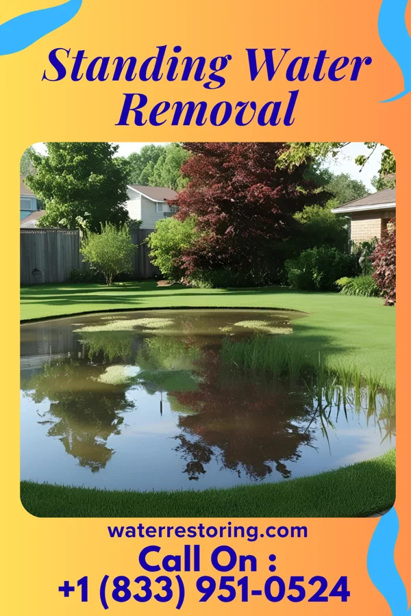 Standing Water Removal in Parkdale, MO